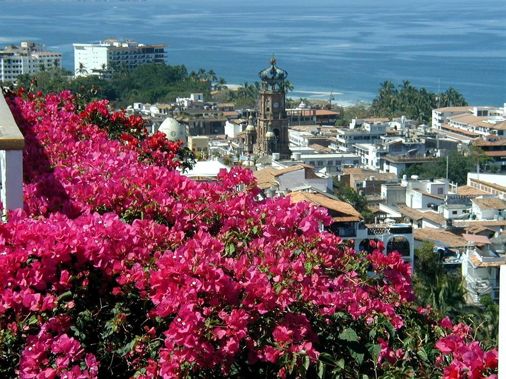 Hotel Suites La Siesta Puerto Vallarta Exterior photo