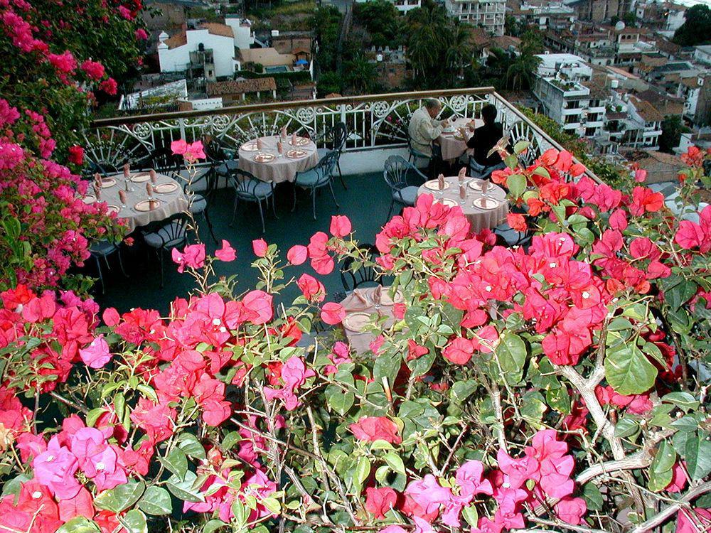 Hotel Suites La Siesta Puerto Vallarta Exterior photo